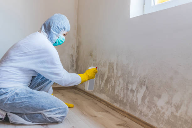 Licensed Mold Testing service in Lynn, MA - WQB Mold Removal